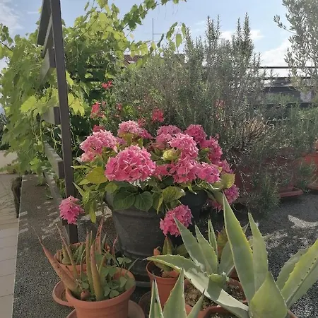 Lavanda Apartamento *