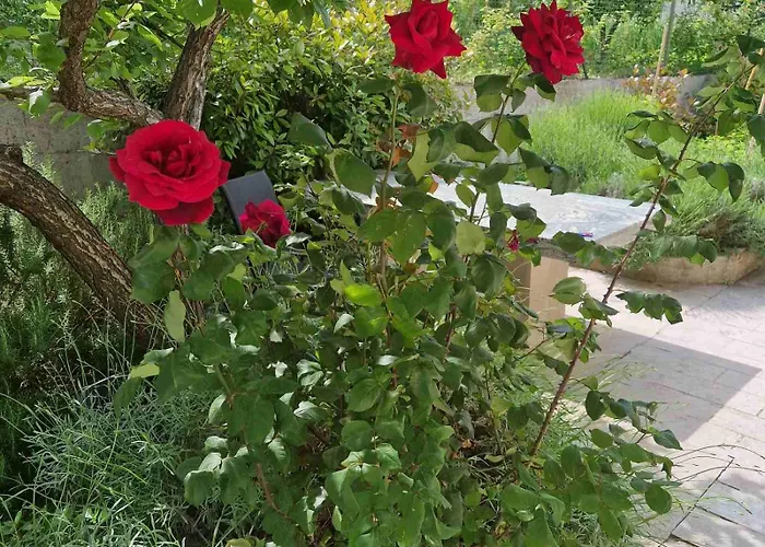 Lavanda Apartman Izola